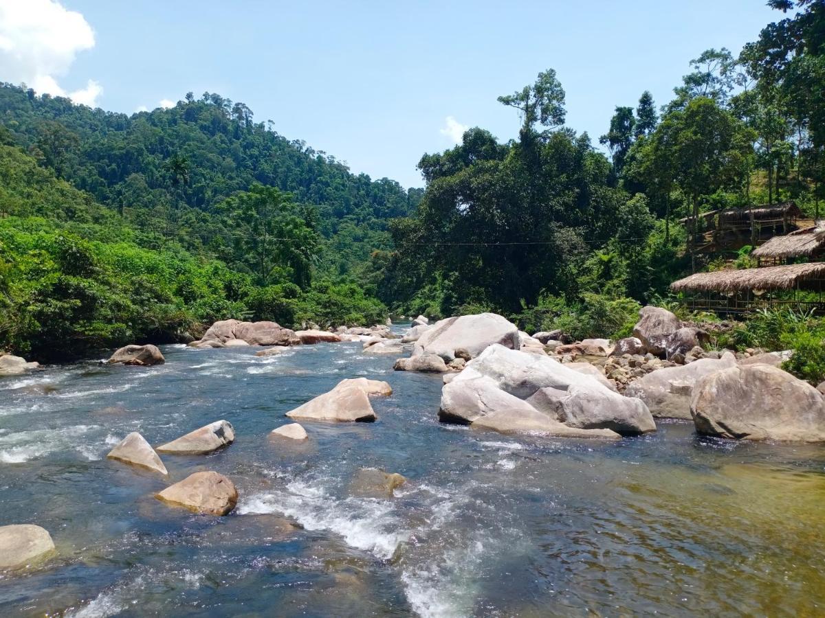 Gió Lào Eco Lodge - Đảo chè Thanh Chương Trai Do Exterior foto