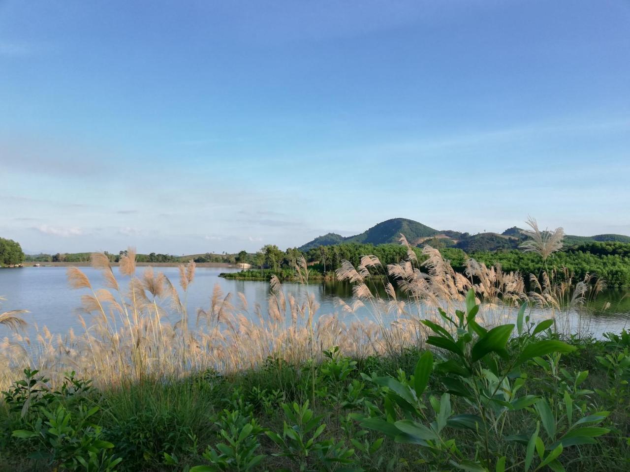 Gió Lào Eco Lodge - Đảo chè Thanh Chương Trai Do Exterior foto